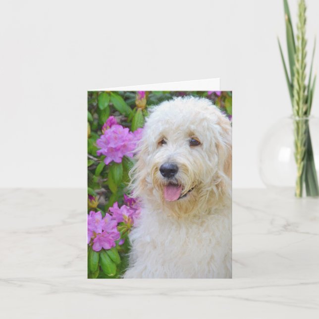 Goldendoodle Thank You Card (Front)