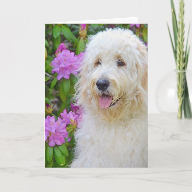 Goldendoodle Thinking of You Card (Front)