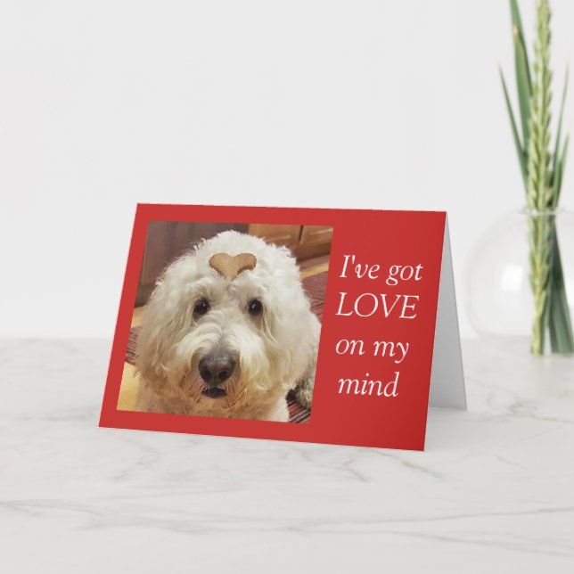 Goldendoodle Valentine's Day card (Front)