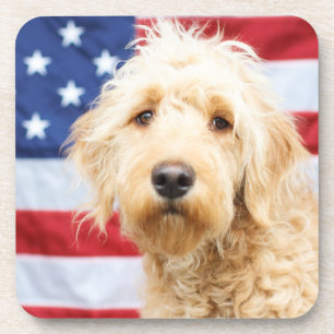 Goldendoodle With American Flag Coaster