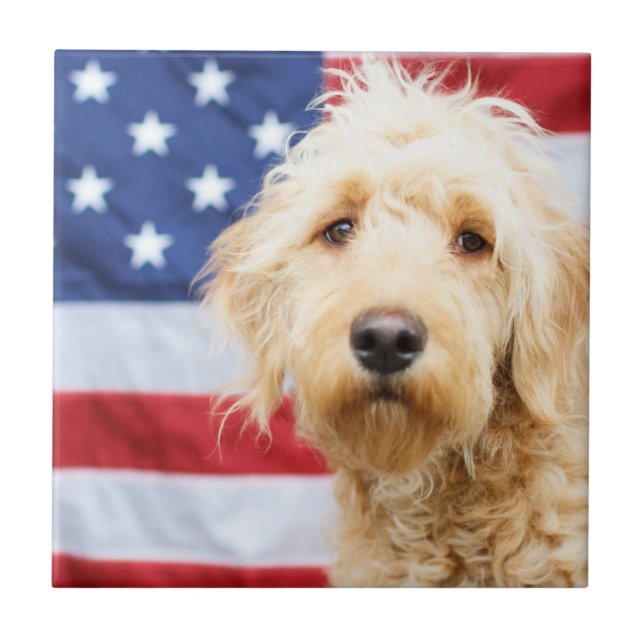 Goldendoodle With American Flag Tile (Front)