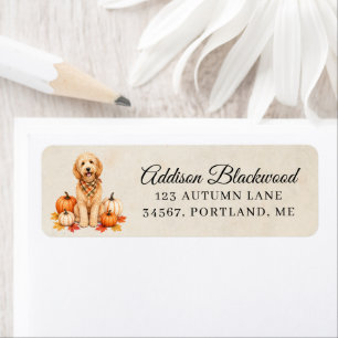 Goldendoodle with Autumn Pumpkins