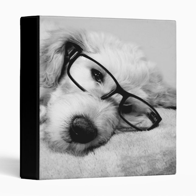 Goldendoodle With Glasses Binder (Front/Spine)
