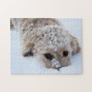 Goldendoodle With Nose In Snow Jigsaw Puzzle