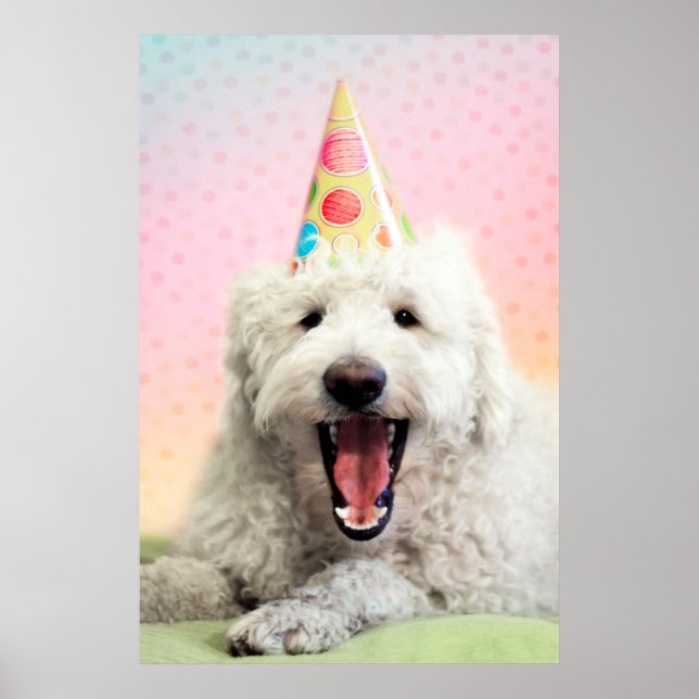 Goldendoodle With Party Hat Poster (Front)
