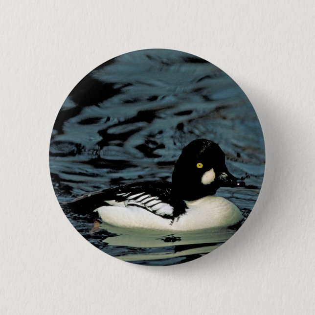 Goldeneye Duck 2 Inch Round Button (Front)