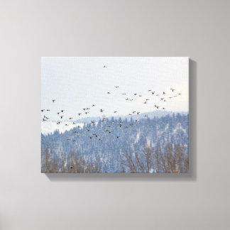 Goldeneye Flight Canvas Print