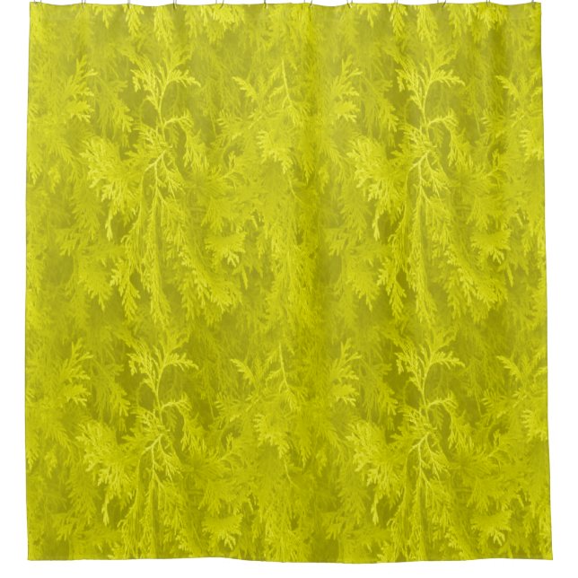 Goldenrod (Front)