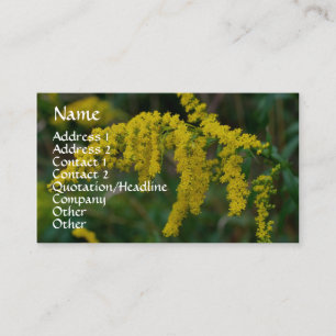 Goldenrod Carte de visite de photographie de la na