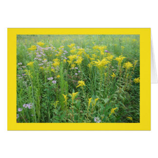 Goldernrod in a Wisconsin Prairie Garden