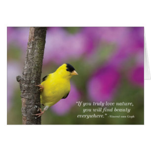 Goldfinch