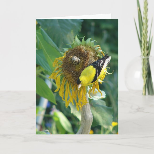 Goldfinch and a Sunflower Card (Front)