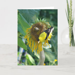 Goldfinch and a Sunflower Card