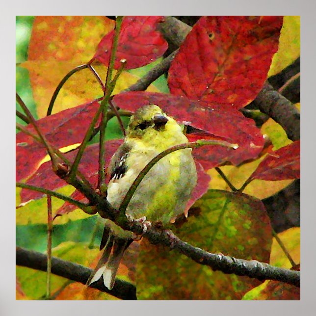 Goldfinch and Autumn Leaves Poster (Front)