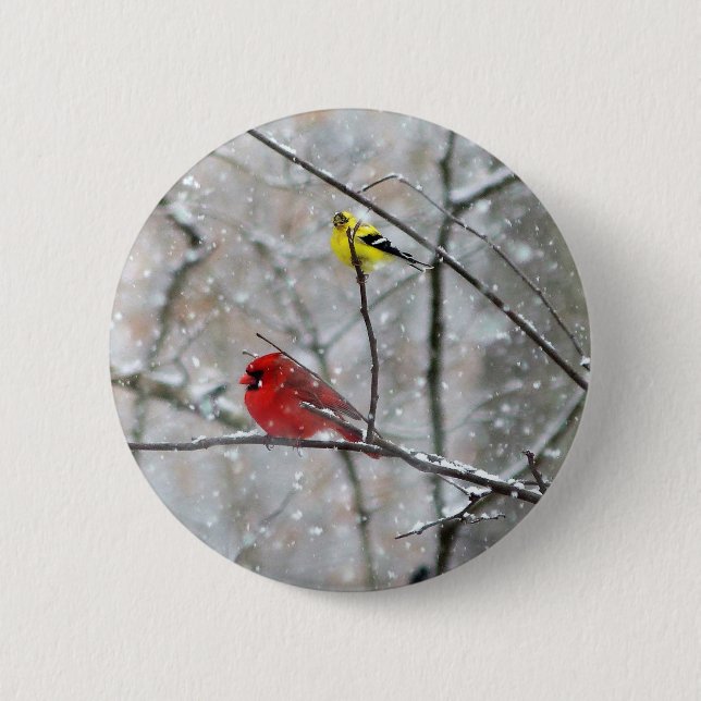 Goldfinch And Cardinal 2 Inch Round Button (Front)