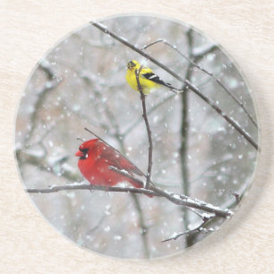 Goldfinch And Cardinal Coaster