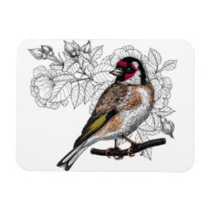 Goldfinch and roses magnet