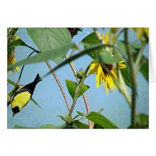 Goldfinch and Sunflowers