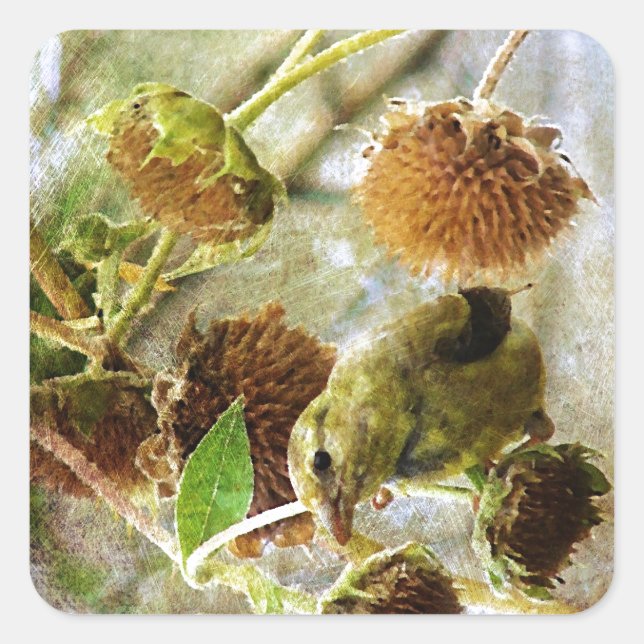 Goldfinch and Sunflowers Square Sticker (Front)