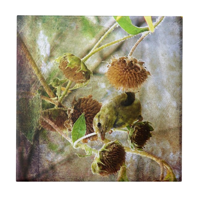Goldfinch and Sunflowers Tile (Front)