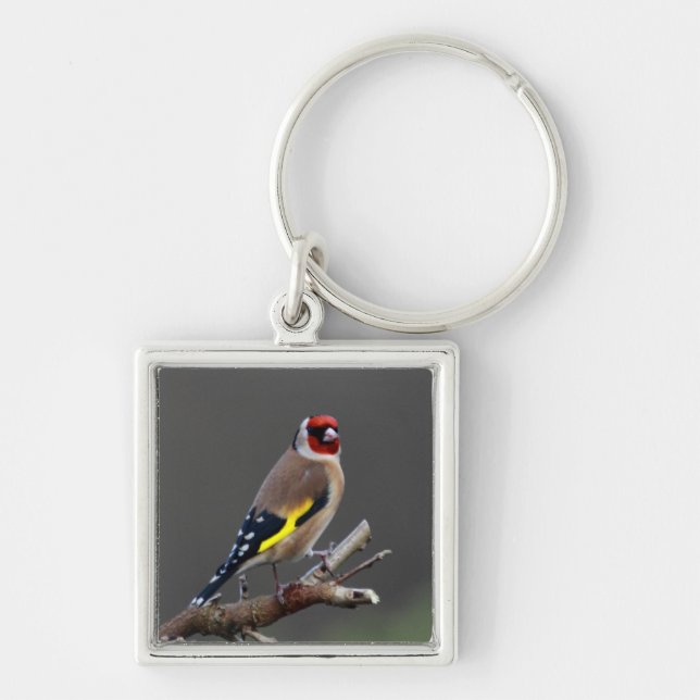 Goldfinch bird keychain (Front)