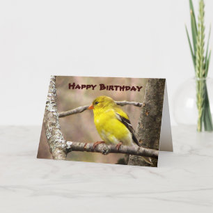 Goldfinch Birthday Card