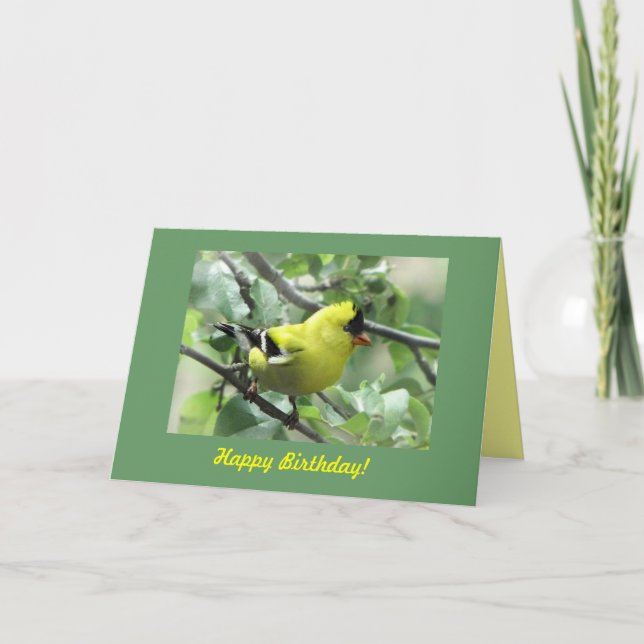 Goldfinch Birthday Card (Front)