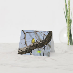 Goldfinch, Bright and Joyful Card