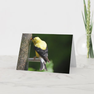 Goldfinch Card