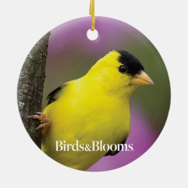 Goldfinch Ceramic Ornament (Back)
