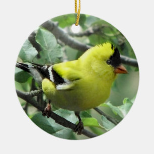 Goldfinch Ceramic Ornament