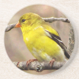 Goldfinch Coaster