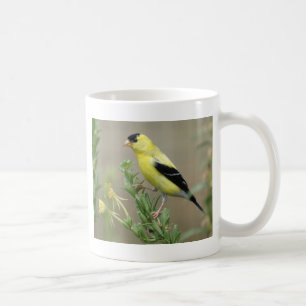 Goldfinch Coffee Mug