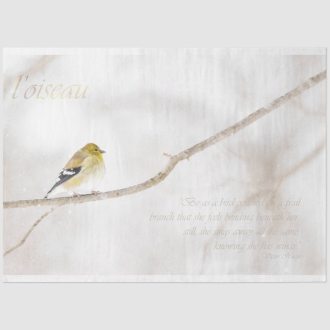 Goldfinch Decoupage Tissue Paper (Front)