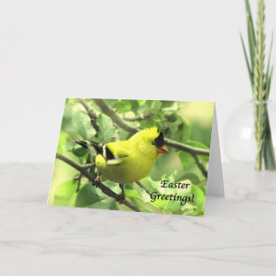 Goldfinch Easter Card