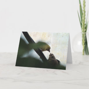 Goldfinch Feeds Baby, Birthday Card