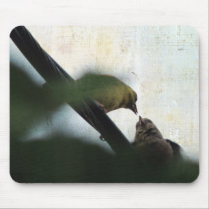 Goldfinch Feeds Chick Mouse Pad