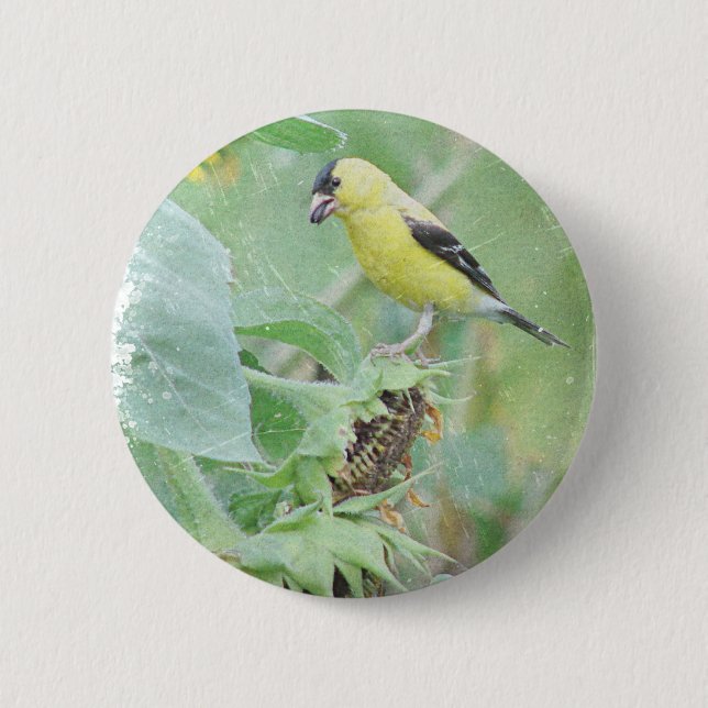Goldfinch Grunge 2 Inch Round Button (Front)