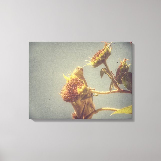 Goldfinch Grunge Canvas Print (Front)