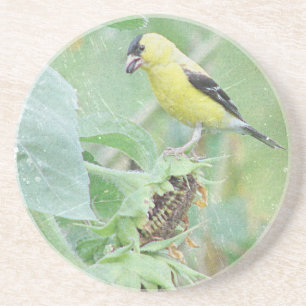 Goldfinch Grunge Coaster