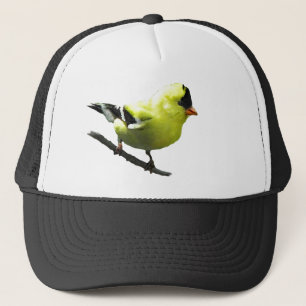 Goldfinch hat