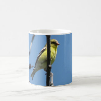 Goldfinch in a tree coffee mug