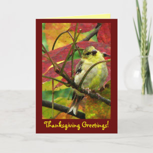 Goldfinch in Autumn Thanksgiving Holiday Card