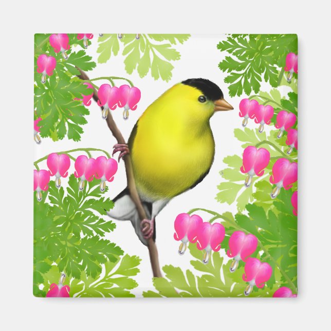 Goldfinch in Bleeding Heart Flowers Magnet (Front)