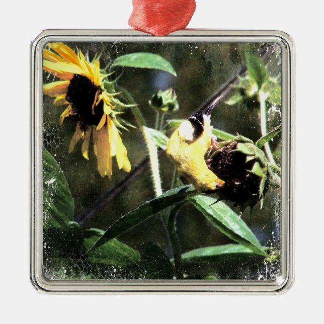 Goldfinch Metal Ornament (Front)