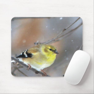 Goldfinch Mouse Pad