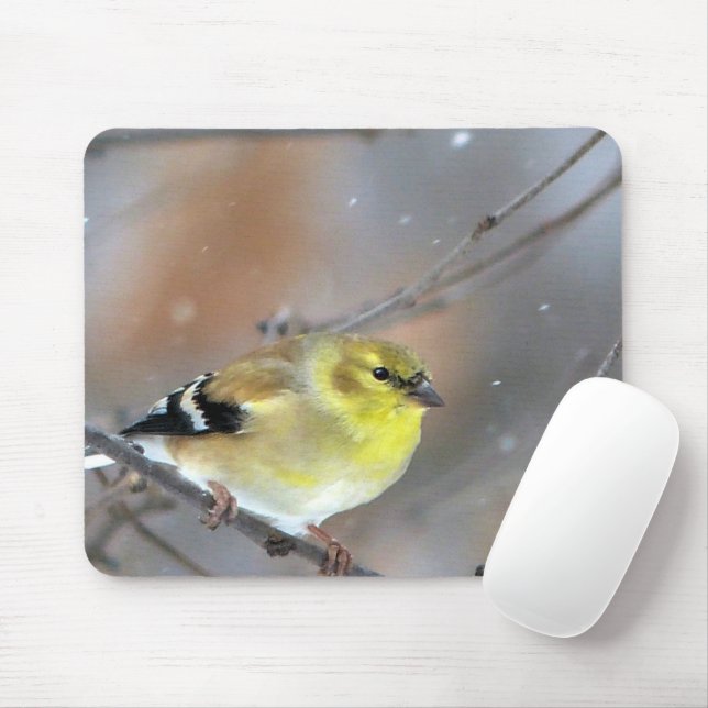 Goldfinch Mouse Pad (With Mouse)