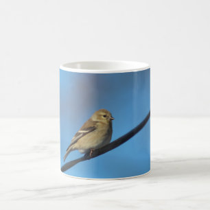 Goldfinch mug