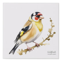 Goldfinch on a Branch