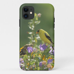 Goldfinch on a Harebell Flower iPhone 11 Case